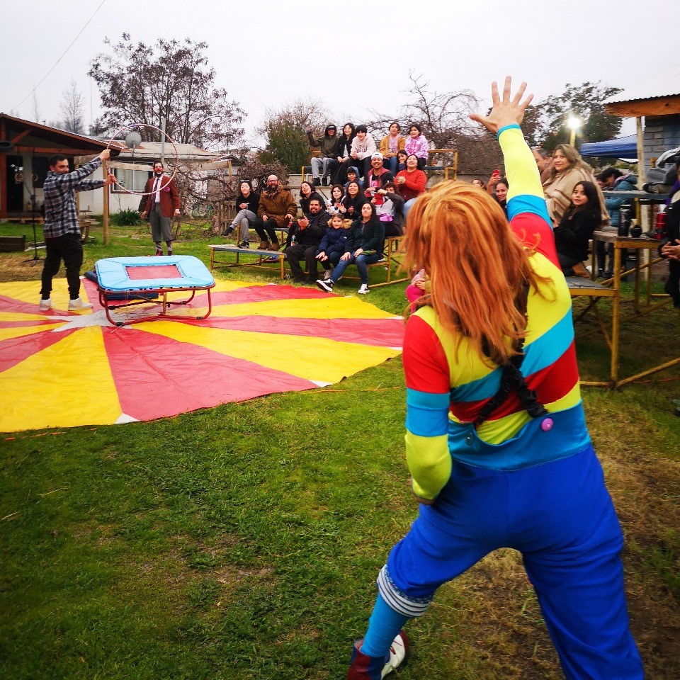 Shows y Exhibiciones